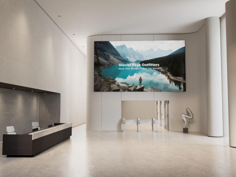 ViewSonic Direct View LED LDP217-121C